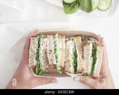 Hände halten Box mit vegetarischem Sandwich in der Hälfte Gurke und grünem Spinat geschnitten Stockfoto