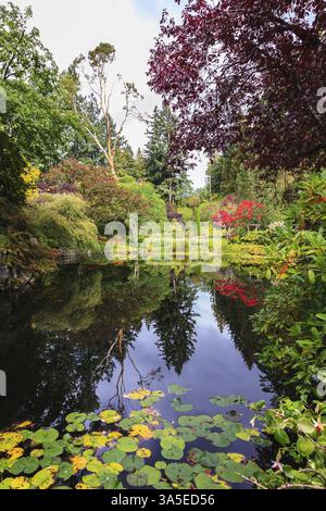 Fantastische Butchart Gardens mit Blumenmuster auf Vancouver Island, Kanada. Ruhiger Teich, mit Lilien bewachsen, inmitten der Trauerweiden Stockfoto