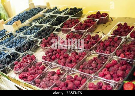 Himbeeren und Heidelbeeren im Regal auf dem Markt. Sortierte Früchte in transparenten Kunststoffboxen Stockfoto