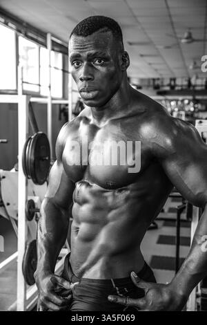 Attraktive Hunky schwarzen männlichen Bodybuilder Bodybuilding Pose im Fitness-Studio zu tun Stockfoto