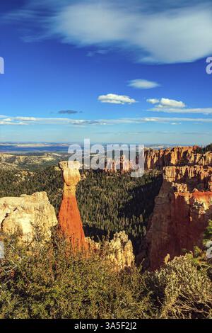 Hoodoos sind einzigartige geologische Strukturen, die durch Erosion entstehen. Der berühmteste Hoodoo ist Thors Hammer. Der Sonnenuntergang. Bryce Canyon in den USA. Das natürliche Stockfoto