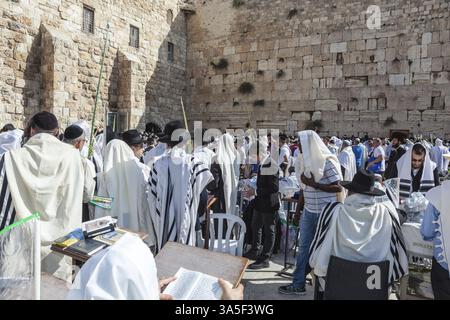 JERUSALEM, ISRAEL - 12. OKTOBER 2014: Eine riesige Menge Gläubiger Juden in weißen Gebetstüchern und schwarzen, langen Mänteln. Sukkot Am Vormittag Stockfoto