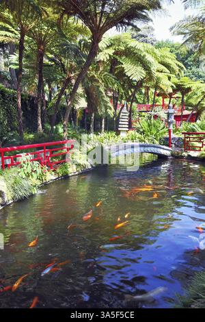Schöner Teich mit Goldfischen. Die Ufer des Teichs umzäunten Geländer im roten chinesischen Stil. Gut gepflegter alter Park an einem sonnigen Tag Stockfoto