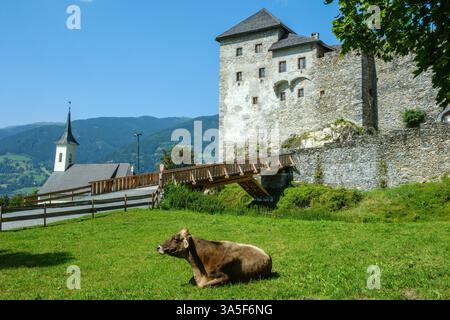 Burg Kaprun, mittelalterliche Steinburg mit einer im Gras liegenden Kuh. Dach und Glockenturm der Kapelle St. James auf der Seite. Salzburger Land Österreich. Stockfoto