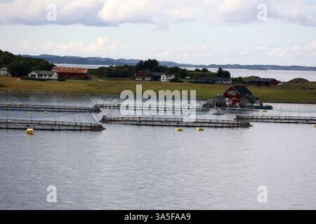 Lachszucht in der Provinz Rogaland in Südnorwegen Stockfoto