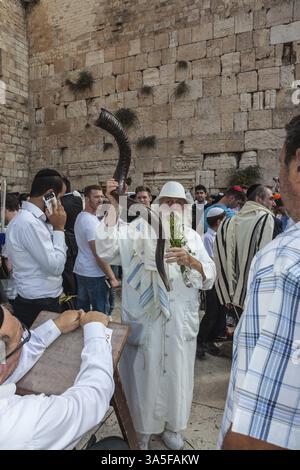 JERUSALEM, ISRAEL - 12. OKTOBER 2014: Morning Herbstsukkot. Das Gebiet vor der westlichen Tempelmauer war voller Menschen. Ältere religiöse Judenwelten Stockfoto
