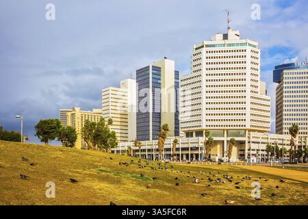 TEL AVIV, ISRAEL - 1. JANUAR 2016: Starke Winde und helle Sonne - perfektes Wetter für einen Winterspaziergang. Wunderschöne Tel Aviv Promenade in stürmischem Wetter Stockfoto