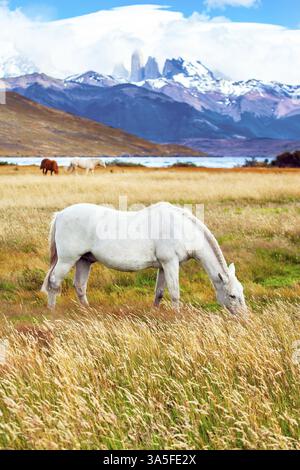 Lagoon Azul ist ein herrlicher Bergsee in der Nähe von drei Felsen - torres. Der berühmte Torres del Paine Park im Süden Chiles. Lone Mustang grast am See Stockfoto