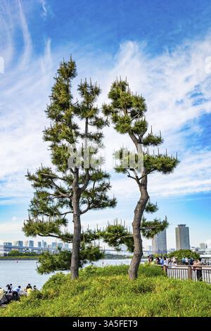 ODAIBA ISLAND, JAPAN, 03. MAI 2023: Beliebter Ort für Spaziergänge von Bürgern. Die Insel ist durch die Regenbogenbrücke mit Tokio verbunden. Odaiba ist groß Stockfoto