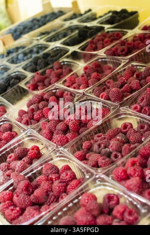 Himbeeren und Heidelbeeren im Regal auf dem Markt. Sortierte Früchte in transparenten Kunststoffboxen Stockfoto