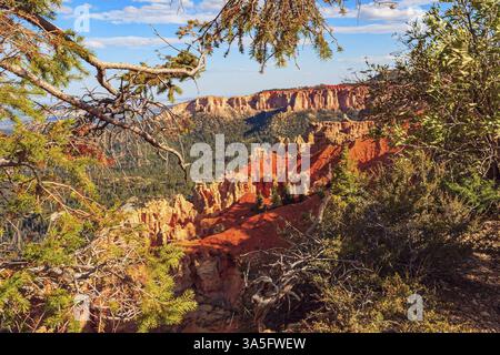 Riesiges natürliches Amphitheater, geschaffen durch Erosion. Bryce Canyon in den USA. Unglaubliche Landschaft, beleuchtet durch den Sonnenuntergang. Hoodoos sind einzigartig geologisch Stockfoto