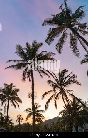 Ein atemberaubend schöner Sonnenuntergang wirft lebendige Farben über Palmen und schafft eine ruhige, tropische Atmosphäre Stockfoto