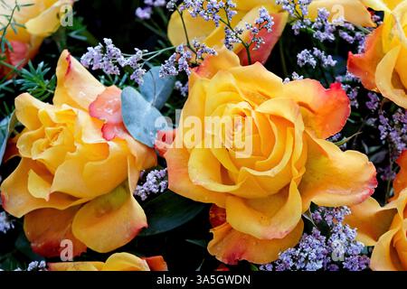 Schöne gelbe Rosen mit ein paar blauen kleinen Blumen in einem Blumenstrauß Stockfoto