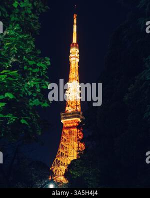 Nächtlicher Blick auf den Tokyo Tower, eingerahmt von üppigem Parklaub mit seiner warmen Beleuchtung, die sich lebhaft von den tiefen Schatten der Umgebung abhebt Stockfoto