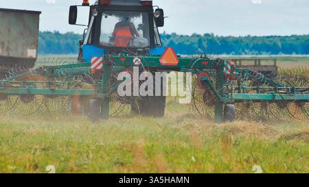 Schwerlasttraktor, der frisch geschnittenes Gras harkt, Sonnenlicht auf Metall, verwandelt das grüne Feld während der ländlichen Erntezeit Stockfoto