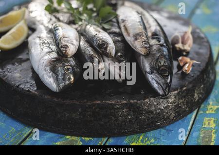 Roher Fisch. Goldbrasse, Seebarsch, Makrelen und Sardinen. Blauem Hintergrund aus Holz Stockfoto