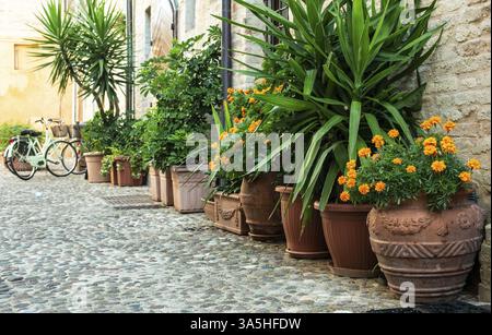 Fahrräder auf typisch italienische Straße. Viele Oldtimer und Blumen in Italien. Verschiedenen Farben Fahrräder auf einer kleinen asphaltierten Straße. Töpfe mit grünen decorat Stockfoto