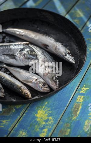 Roher Fisch. Goldbrasse, Seebarsch, Makrelen und Sardinen. Blauem Hintergrund aus Holz Stockfoto