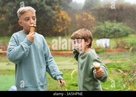 Zwei Brüder genießen gemeinsam Eiskegel in einem Garten an einem bewölkten Herbsttag Stockfoto