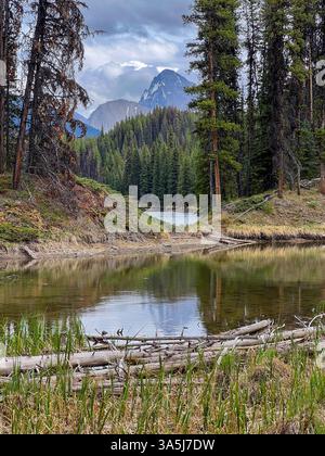 Am Ufer des Maligne Lake, Jasper NP, Alberta, Kanada Stockfoto