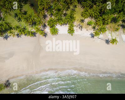 Blick von oben auf den Strand und die Palmen auf Palawan Island, Philippinen. Drohnenansicht aus der Luft Stockfoto
