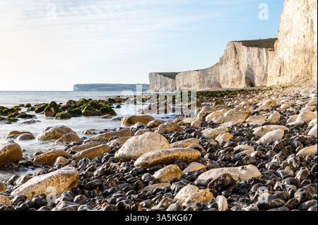 Kreidefelder am Ufer von Birling Gap, mit den Seven Sisters Cliffs und Seaford Head in der Ferne, East Sussex, England Stockfoto