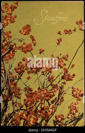 Ein zweifach gefaltetes Menü von Stouffer's mit einem Farbfoto auf dem Cover und einer Vielzahl von Mittagsoptionen, einschließlich Sandwiches, Salate, Hauptgerichte und Desserts. Stockfoto