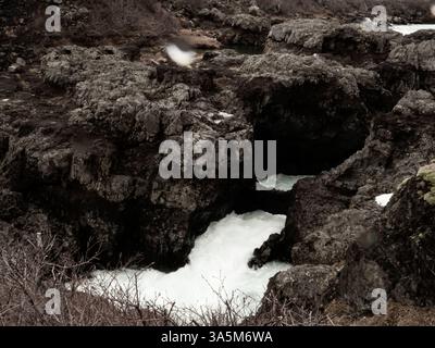 Barnafoss ist ein schmaler, schnell fließender Wasserfall in Island, wo Gletscherwasser durch zerklüftete vulkanische Gesteinsformationen strömt und ein markantes blaues R erzeugt Stockfoto