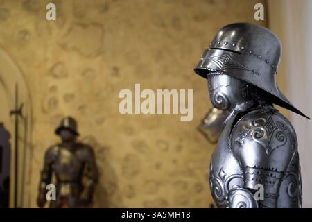 Seitenansicht der mittelalterlichen Rüstung mit Details und anderer Rüstung mit Hecht im Hintergrund Stockfoto