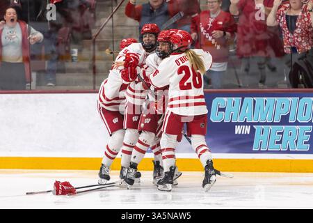 St. Paul, Minnesota, USA. März 2025. Die Spieler der University of Wisconsin feiern gemeinsam, nachdem sie das Siegtor erzielt haben. Die University of Wisconsin und der Ohio State standen im Women's 2025 Frozen Four Finale gegenüber. Die Teams traten am 23. März in der Ridder Arena in Minneapolis, Minnesota, an Die University of Wisconsin gewann 4-3 in Überstunden. (Kreditbild: © Michael Turner/ZUMA Press Wire) NUR REDAKTIONELLE VERWENDUNG! Nicht für kommerzielle ZWECKE! Stockfoto