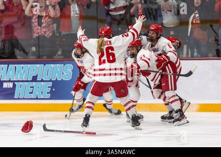 St. Paul, Minnesota, USA. März 2025. Die Spieler der University of Wisconsin feiern, nachdem sie in Überstunden Punkte erzielt haben, um das Spiel zu gewinnen. Die University of Wisconsin und der Ohio State standen im Women's 2025 Frozen Four Finale gegenüber. Die Teams traten am 23. März in der Ridder Arena in Minneapolis, Minnesota, an Die University of Wisconsin gewann 4-3 in Überstunden. (Kreditbild: © Michael Turner/ZUMA Press Wire) NUR REDAKTIONELLE VERWENDUNG! Nicht für kommerzielle ZWECKE! Stockfoto