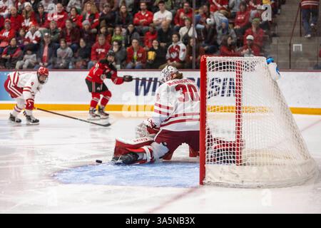 St. Paul, Minnesota, USA. März 2025. Der Torhüter der University of Wisconsin AVA MCNAUGHTON blockiert den Puck. Die University of Wisconsin und der Ohio State standen im Women's 2025 Frozen Four Finale gegenüber. Die Teams traten am 23. März in der Ridder Arena in Minneapolis, Minnesota, an Die University of Wisconsin gewann 4-3 in Überstunden. (Kreditbild: © Michael Turner/ZUMA Press Wire) NUR REDAKTIONELLE VERWENDUNG! Nicht für kommerzielle ZWECKE! Stockfoto