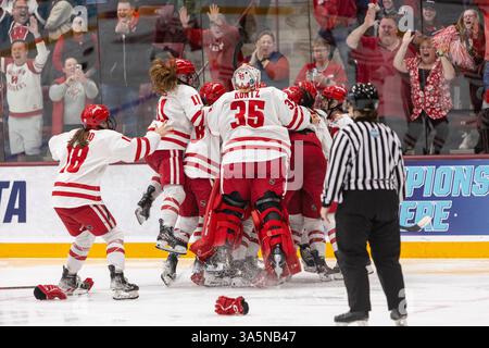 St. Paul, Minnesota, USA. März 2025. Die Spieler der University of Wisconsin stapeln sich aufeinander, nachdem sie das Spiel gewonnen haben. Die University of Wisconsin und der Ohio State standen im Women's 2025 Frozen Four Finale gegenüber. Die Teams traten am 23. März in der Ridder Arena in Minneapolis, Minnesota, an Die University of Wisconsin gewann 4-3 in Überstunden. (Kreditbild: © Michael Turner/ZUMA Press Wire) NUR REDAKTIONELLE VERWENDUNG! Nicht für kommerzielle ZWECKE! Stockfoto
