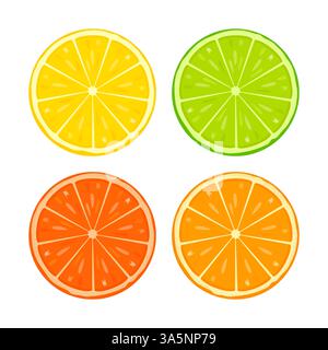 Set aus Zitrusfrüchten, Limetten, Orangen, Grapefruits - Scheiben. Vektorillustration isoliert auf weißem Hintergrund. Stock Vektor