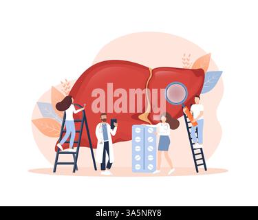 Flache Illustration mit Leber auf weißem Hintergrund für medizinisches Design. Charaktere im Zeichentrickstil. Vektor-Lebersystem Organ, Verdauungsgallenblase Stock Vektor