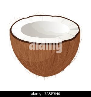 Die Hälfte der Kokosnuss zeigt weißes Fleisch und braune behaarte Schale auf weißem Hintergrund Stock Vektor