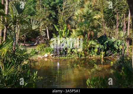 Ein Brunnen mit Plättchen und dem tropischen Wald in Inhotim, Minas Gerais, Brasilien Stockfoto