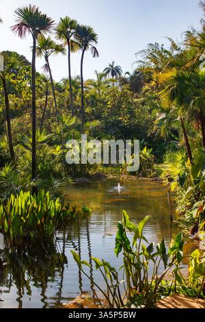 Ein Brunnen mit Plättchen und dem tropischen Wald in Inhotim, Minas Gerais, Brasilien Stockfoto