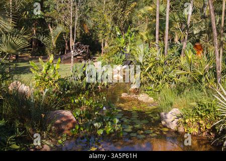 Ein Brunnen mit Plättchen und dem tropischen Wald in Inhotim, Minas Gerais, Brasilien Stockfoto
