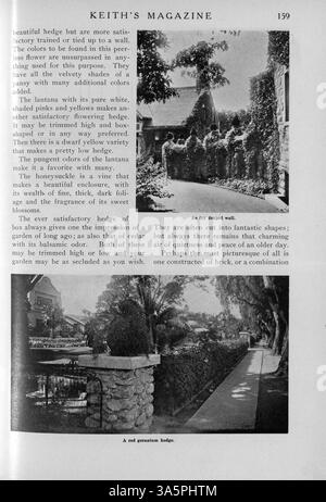 Diese 1916 erschienene Publikation von Max L. Keith, Keith’s Magazine, enthält detaillierte Pläne für Häuser, Kirchen und Schulen mit Schwerpunkt auf verschiedenen architektonischen Stilen. Das Magazin enthält Grundrisse, Fotografien und Kosten sowie Artikel über Innenarchitektur und Landschaftsgestaltung. Werbeanzeigen für Baumaterialien und Wohnmöbel sind ebenfalls enthalten. Fehlende Seiten bei einigen Problemen werden angezeigt. Stockfoto