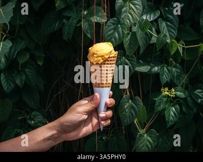 Gelbe Eiskugel in hausgemachter Waffelkegel mit weißer Verpackung, von weiblicher Hand auf grünem Blatthintergrund gehalten, Filmfarbton, trendiger Stil. H Stockfoto