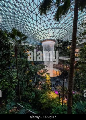 Der Juwel-Regenwirbel am Changi International Airport in Singapur. Indoor-Wasserfall mit tropischer Vegetation und Kuppeldach Stockfoto
