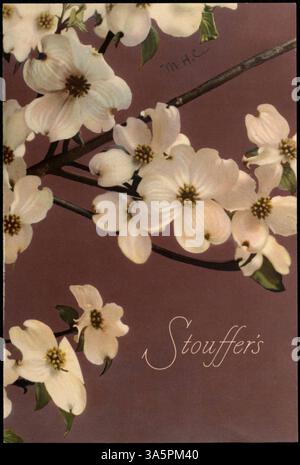 Ein zweifach gefaltetes Abendmenü auf weißem Cardstock von Stouffer's, mit einem Foto von Hartholzblüten. Das Menü umfasst gegrillte Speisen, Hauptgerichte, Desserts, Eis und Getränke. Stockfoto