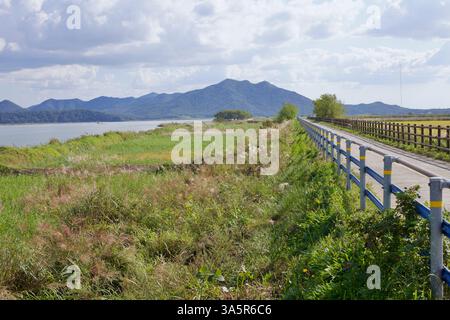 Muan County, Südkorea - 25. September 2020: Der Yeongsangang Bike Path verläuft entlang des Flusses, umgeben von üppigen Feuchtgebieten und hohen Gräsern Stockfoto