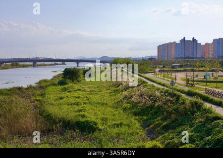 Muan County, Südkorea - 25. September 2020: Ein Greenway entlang des Yeongsan River bietet üppige Vegetation, einen Wanderweg am Fluss und eine Brücke Stockfoto