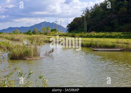 Muan County, Südkorea - 25. September 2020: Ein kleines Holzboot ruht am grasbewachsenen Flussufer, während das Schilf im Wind schwingt, mit weit entfernten Bergen Stockfoto
