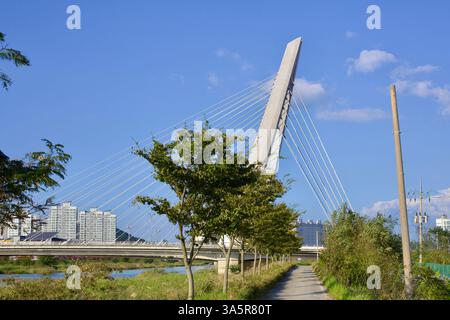 Muan County, Südkorea - 25. September 2020: Blick auf die Namchang Bridge, eine markante Seilbrücke, die über dem Yeongsan River mit einem tr Stockfoto