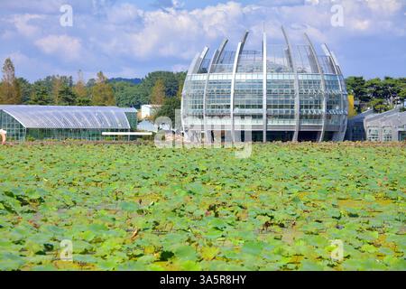 Muan County, Südkorea – 25. September 2020: Das Floating Glass Greenhouse, ein architektonisches Herzstück des Hoesan White Lotus Habitat, überblickt einen Stockfoto