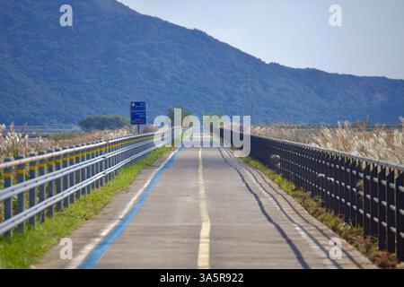 Muan County, Südkorea - 25. September 2020: Ein gerader Abschnitt des Yeongsangang Bike Path führt zu einem üppigen Berg, flankiert von hohen Schilf und Stockfoto