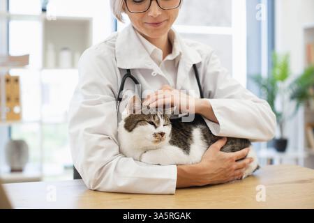 Tierärztin mit asiatischer Katze in der Tierklinik, mittelerwachsen, Brille trägt. Fachkompetenz, Tiergesundheit und -Pflege, Mitgefühl für Tiere, Betonung des Wohlbefindens. Stockfoto
